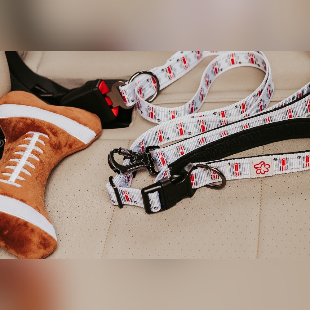 Ohio State Buckeyes 6 In 1 Leash